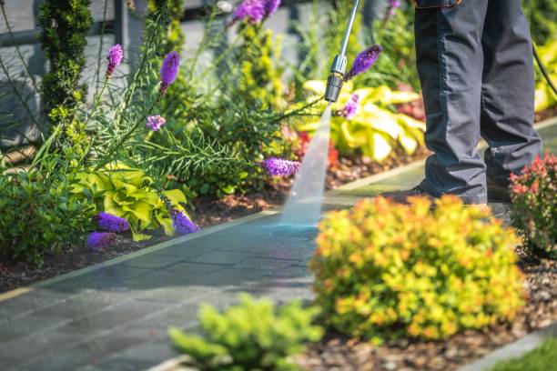 Best Sign and Awning Cleaning  in Johnstonville, CA